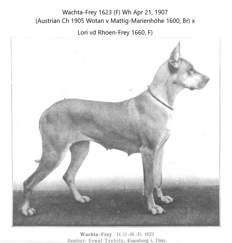 Wachta-Frey -IV-V-T63-9-14